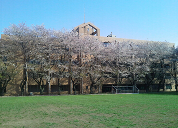 留学简介